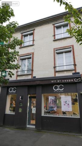 Local mixte (Pro/Hab) à vendre à Rethel dans les Ardennes (08300), ref : 08018-IMMR-2099