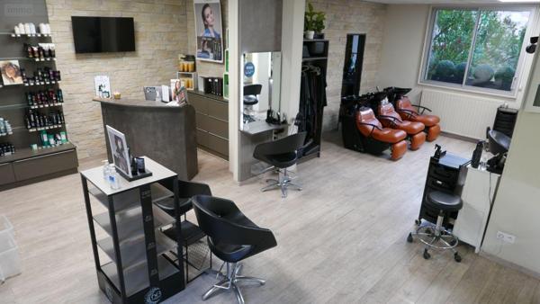 Local mixte (Pro/Hab) à vendre à Rethel dans les Ardennes (08300), ref : 08018-IMMR-2099