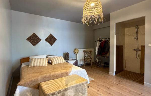 Maison avec studio et grand hangar   Plein centre de Salles