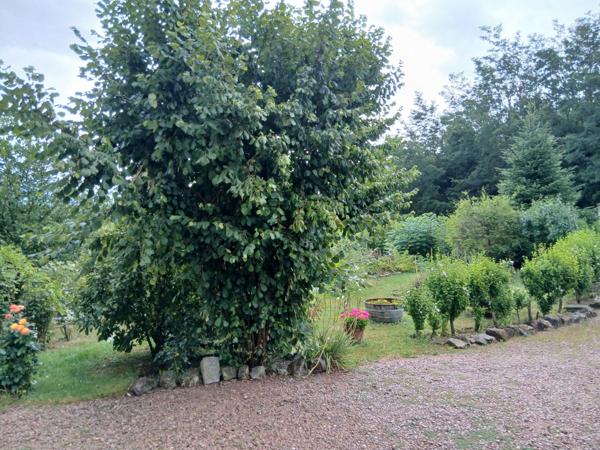 Paviillon de 92 m2 sur parcelle de 6468 m2