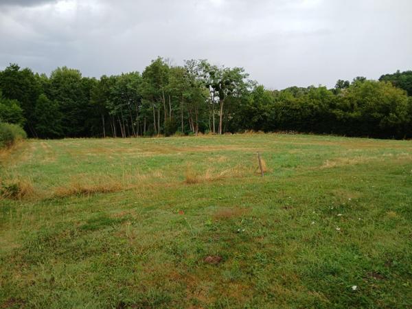 Paviillon de 92 m2 sur parcelle de 6468 m2