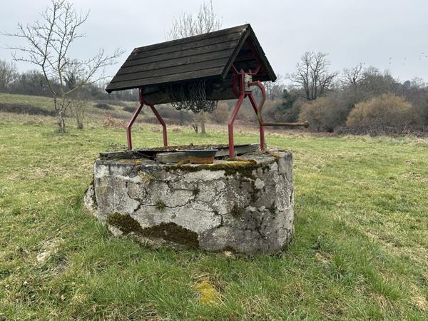 Saint Maur (18 )- Fermette rénovée avec bungalow et grande grange sur 4,7 hectares. Saint-Maur (18270)