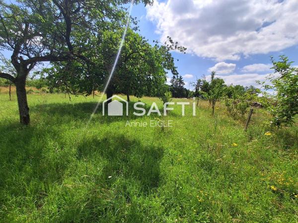 3 TERRAINS DE LOISIRS POUR 2520 m2