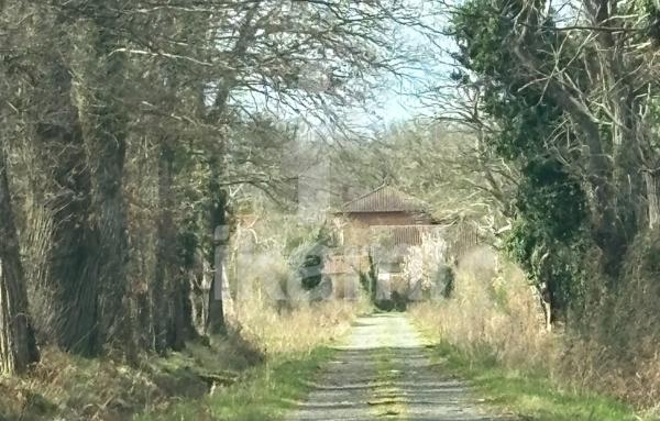 Magnifique Propriété en Sologne avec Maison de Maître et Plus de 96 Hectares