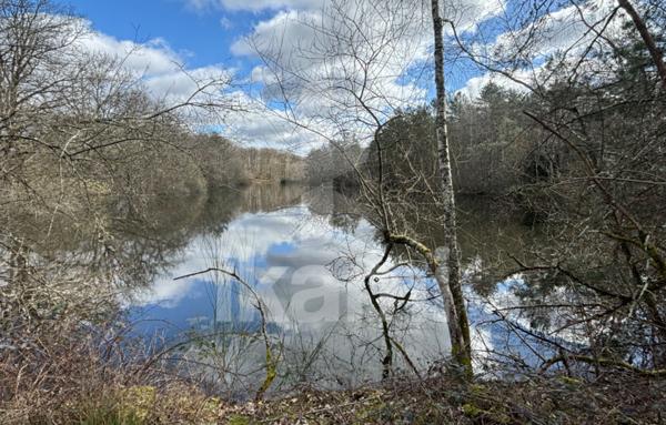 Magnifique Propriété en Sologne avec Maison de Maître et Plus de 96 Hectares