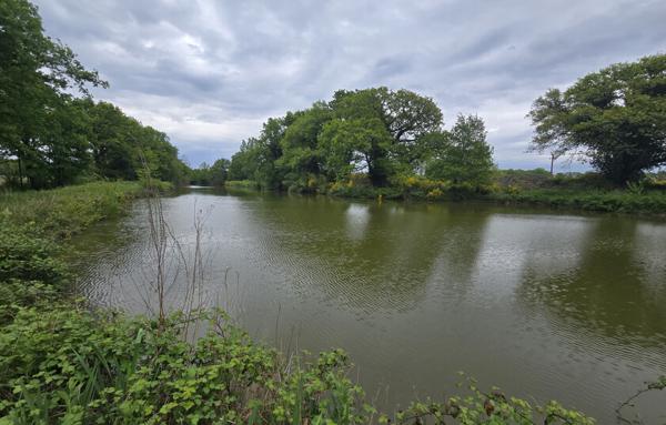 Magnifique Propriété en Sologne avec Maison de Maître et Plus de 96 Hectares