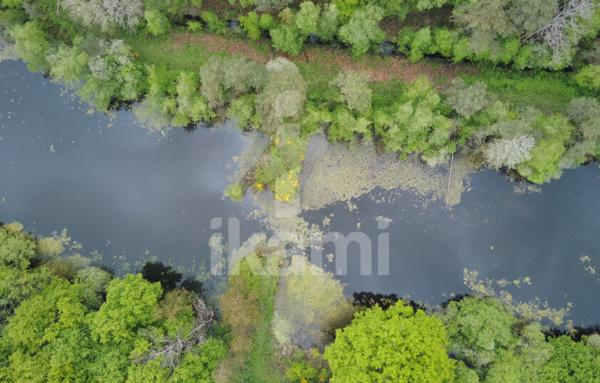 Magnifique Propriété en Sologne avec Maison de Maître et Plus de 96 Hectares