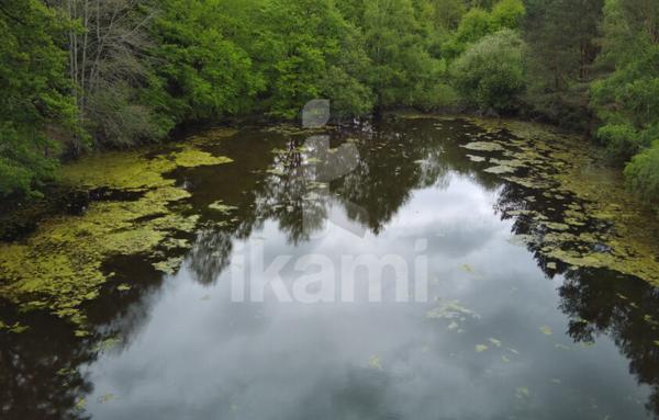 Magnifique Propriété en Sologne avec Maison de Maître et Plus de 96 Hectares