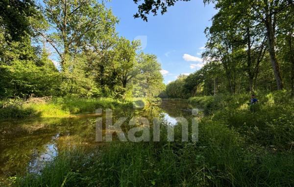 Magnifique Propriété en Sologne avec Maison de Maître et Plus de 96 Hectares