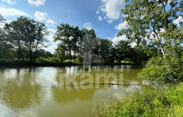 Magnifique Propriété en Sologne avec Maison de Maître et Plus de 96 Hectares