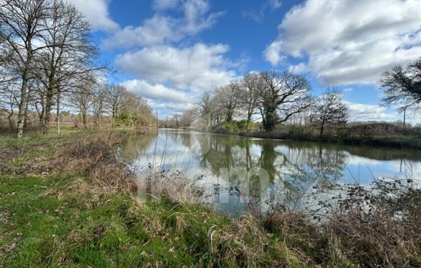 Magnifique Propriété en Sologne avec Maison de Maître et Plus de 96 Hectares