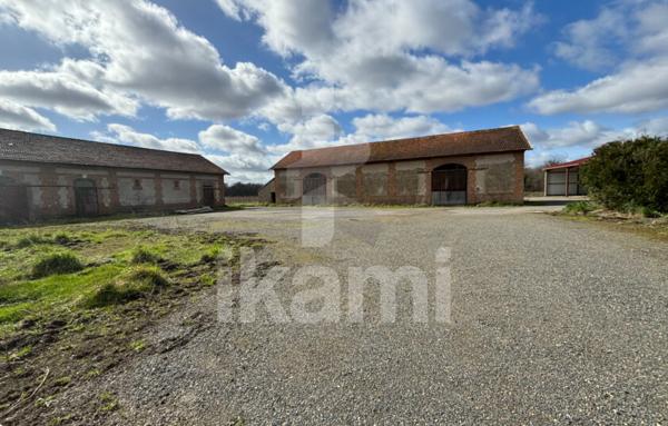 Magnifique Propriété en Sologne avec Maison de Maître et Plus de 96 Hectares
