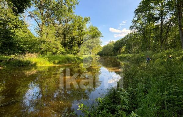 Magnifique Propriété en Sologne avec Maison de Maître et Plus de 96 Hectares