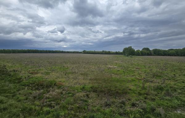 Magnifique Propriété en Sologne avec Maison de Maître et Plus de 96 Hectares