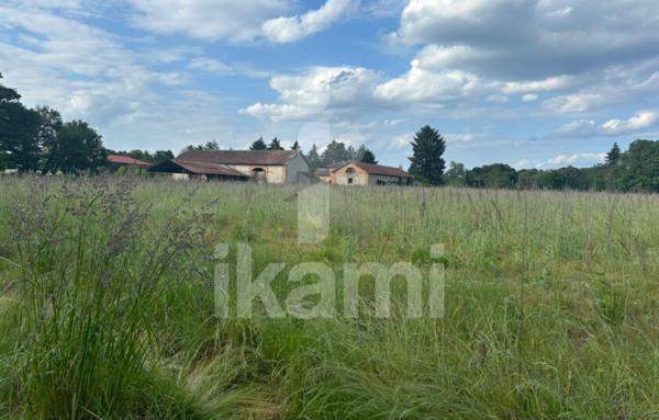 Magnifique Propriété en Sologne avec Maison de Maître et Plus de 96 Hectares