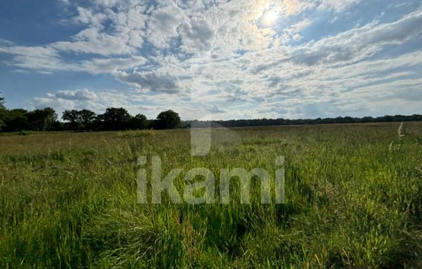 Magnifique Propriété en Sologne avec Maison de Maître et Plus de 96 Hectares