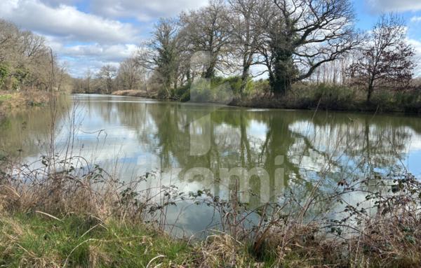 Magnifique Propriété en Sologne avec Maison de Maître et Plus de 96 Hectares