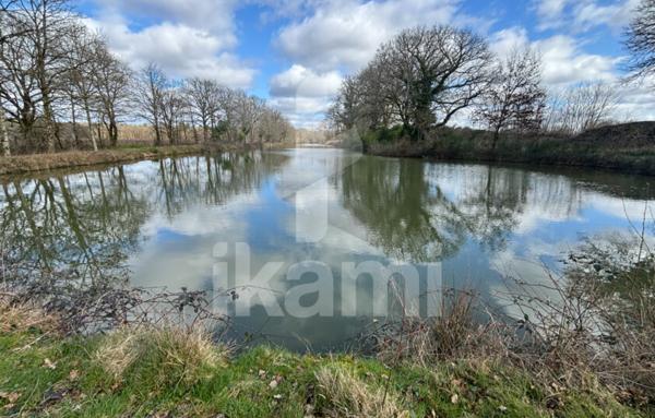Magnifique Propriété en Sologne avec Maison de Maître et Plus de 96 Hectares