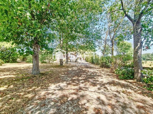 Un havre de paix à seulement 30 minutes de Toulouse.