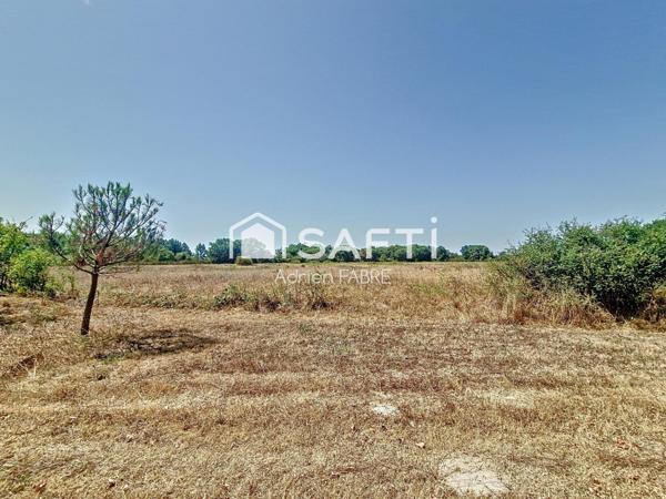 Un havre de paix à seulement 30 minutes de Toulouse.