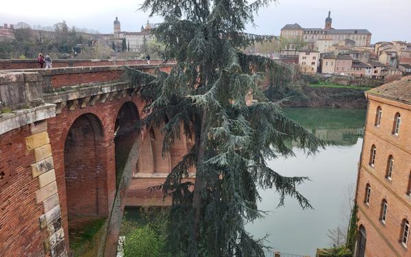 Appartement à vendre    2 pièces •  Albi