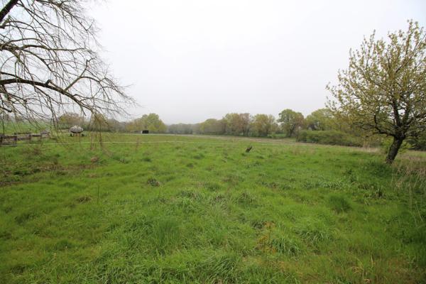 Maison individuelle de trois chambres avec un terrain de 2 hectares