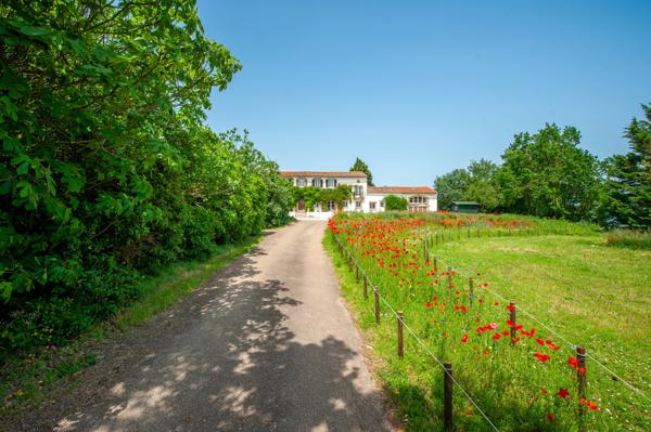 Domaine de caractère avec vues panoramiques sur la campagne audoise et la Montagne Noire