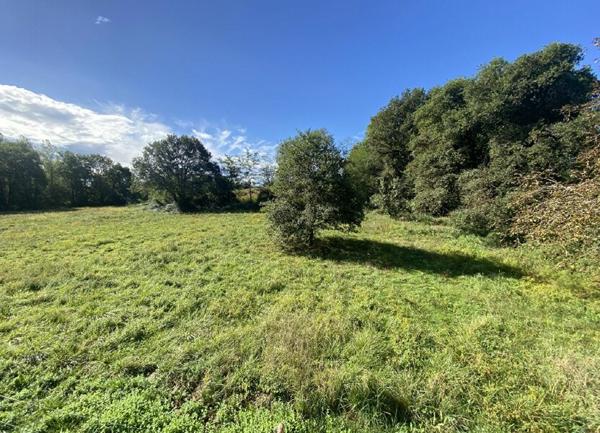 Maison à vendre    5 pièces •  Pomarez