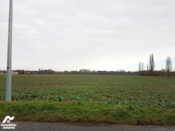 Un terrain à bâtir