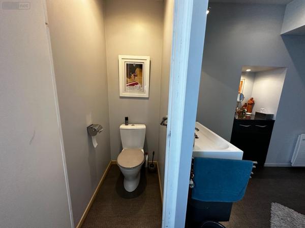 Maison restaurée à vendre à Cézy dans l'Yonne (89410), ref : 2300017