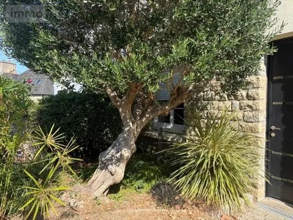 Achat - Maison Quimper 29000 6 pièces 135 m 2 248 m 2