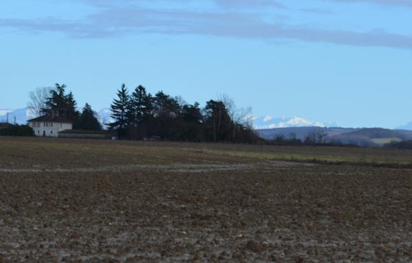 Magnifique ferme entièrement rénovée