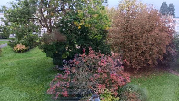 Calme et ensoleillé