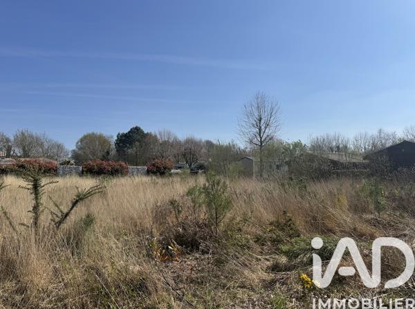 Terrain à vendre 1 000 m² Parentis-en-Born