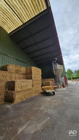 Murs commerciaux  à vendre 8 310 m² Mérignies