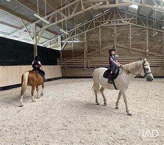 Murs commerciaux  à vendre 8 310 m² Mérignies