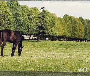 Murs commerciaux  à vendre 8 310 m² Mérignies