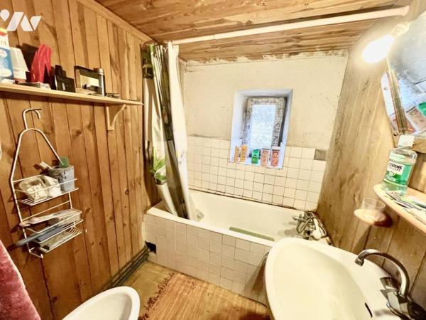 CORPS DE FERME  PEYRE EN AUBRAC