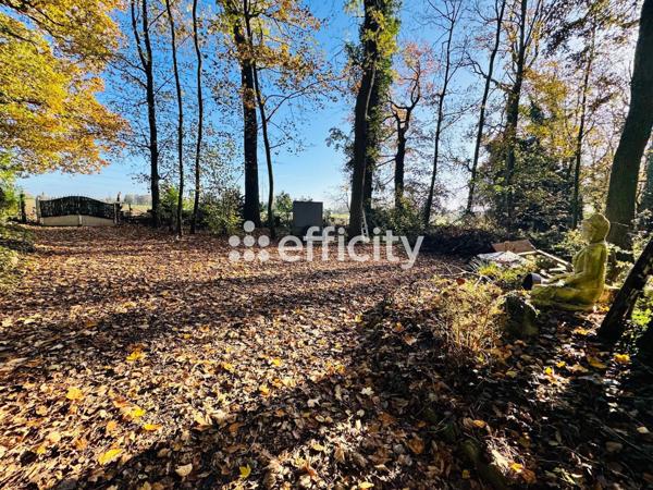 Terrain - 2950 m² Exclusivité efficity