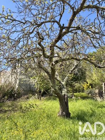 Terrain à vendre 584 m² Alaigne