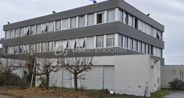 Immeuble de 1 441 m²