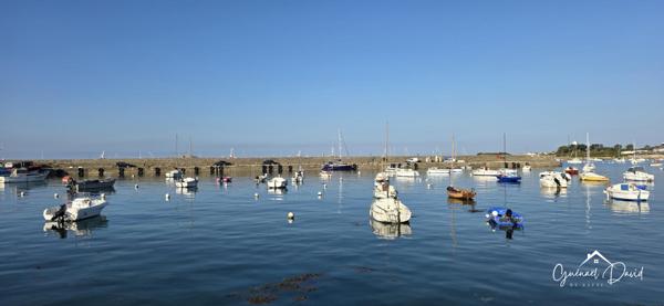 APPARTEMENT AVEC COUR EN PLEIN CŒUR DU CENTRE HISTORIQUE