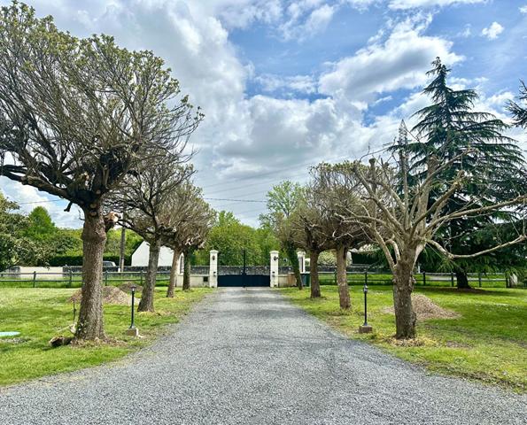 Demeure de prestige Joue Les Tours 9 pièce(s) 299 m2