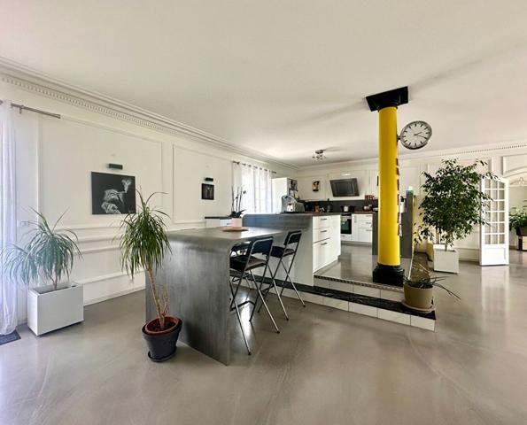 Demeure de prestige Joue Les Tours 9 pièce(s) 299 m2