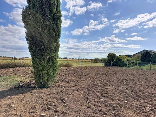 Terrain constructible