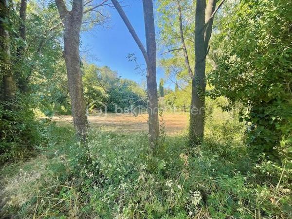 Terrain agricole de 6 013 m²