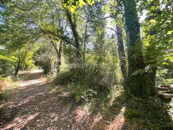 Terrain agricole de 6 013 m²