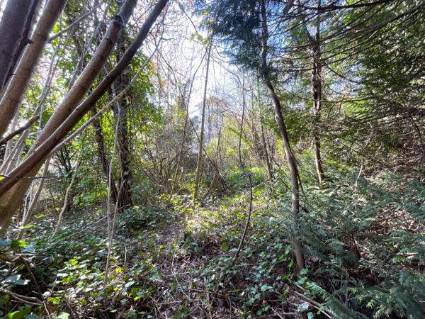 Vente / Maison de ville