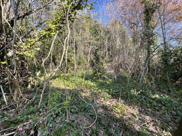 Vente / Maison de ville