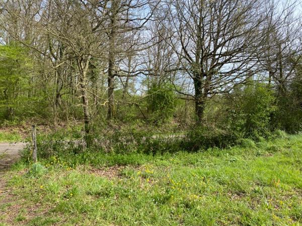 Terrain à Batir à vendre à Mézières-en-Brenne dans l'Indre (36290), ref : 1045338